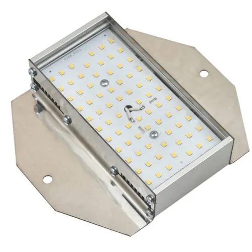 LED Flood Light 10W