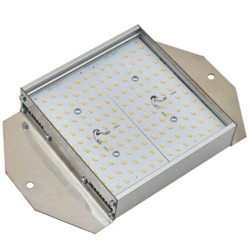 LED Flood Light 20W